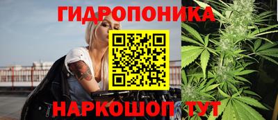 дживик Лесосибирск