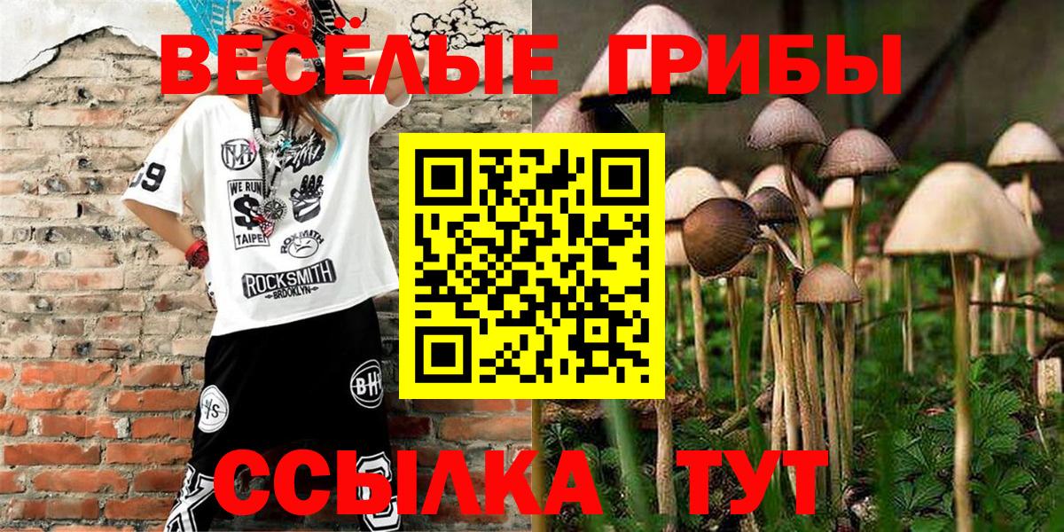 Галлюциногенные грибы ЛСД Благовещенск