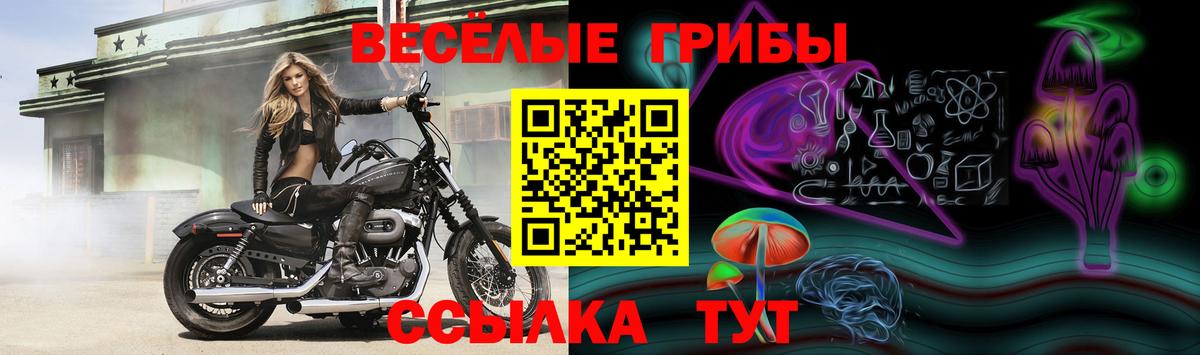 Благовещенск  Галлюциногенные грибы мухоморы  Вход с VPN 